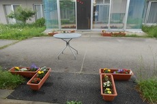 s2014.6.24 5.jpg
